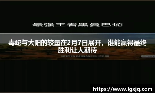 毒蛇与太阳的较量在2月7日展开，谁能赢得最终胜利让人期待